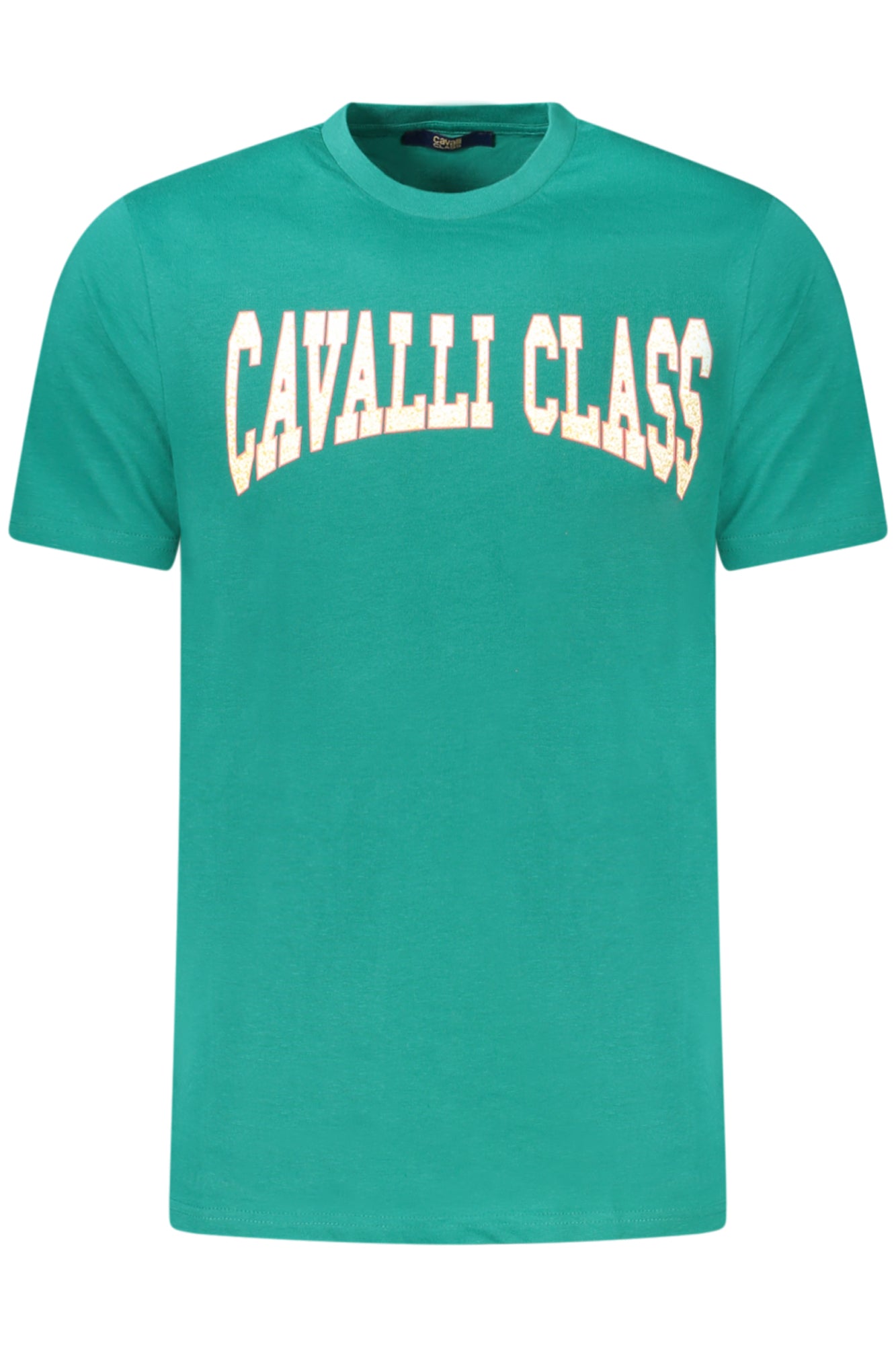 cdn.stockfirmati.com/catalog/38696/cavalliclasst-shirtmanichecorteuomoverde_1.jpg