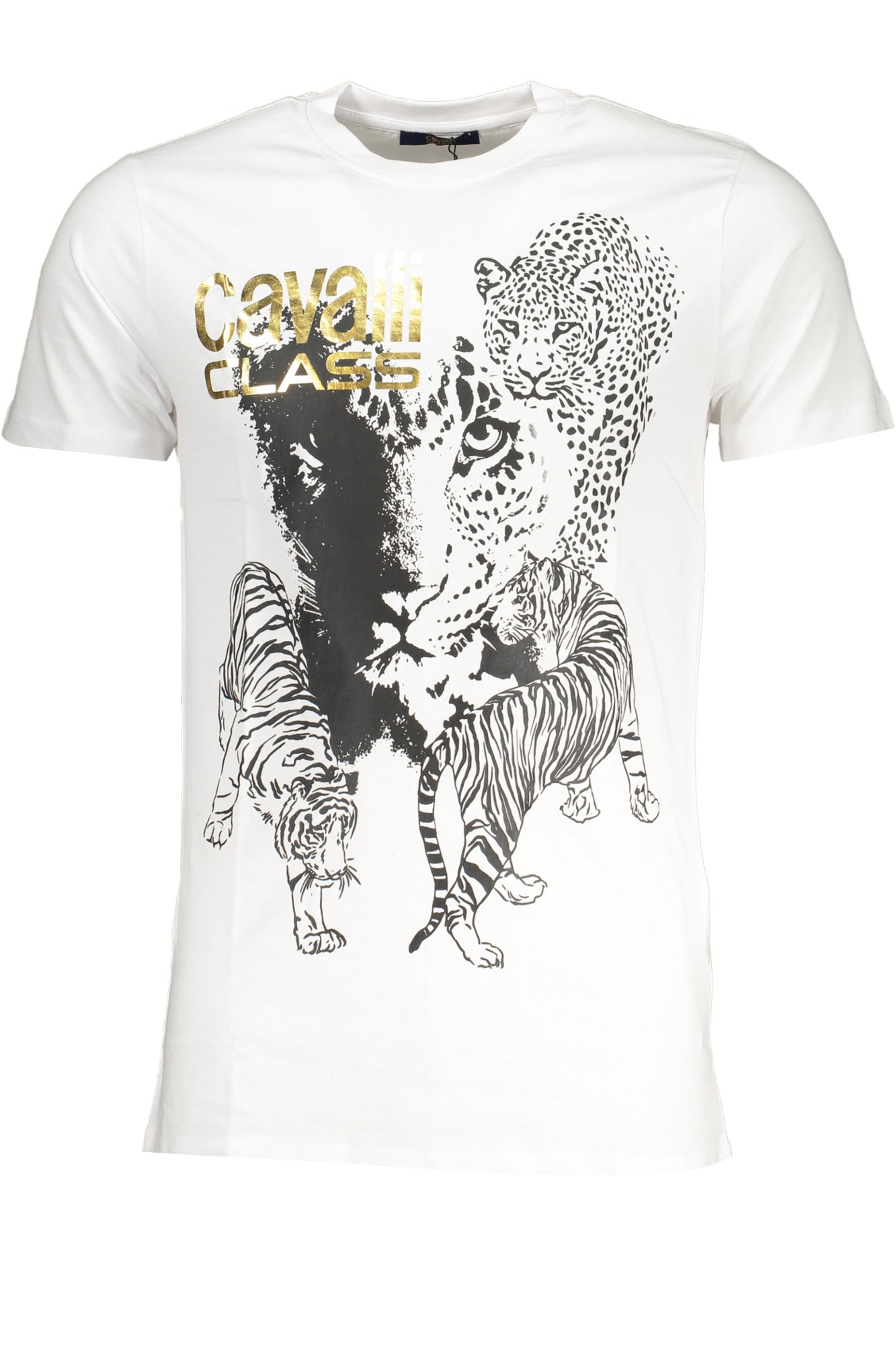 cdn.stockfirmati.com/catalog/28623/cavalliclasst-shirtmanichecorteuomobianco_1.jpg