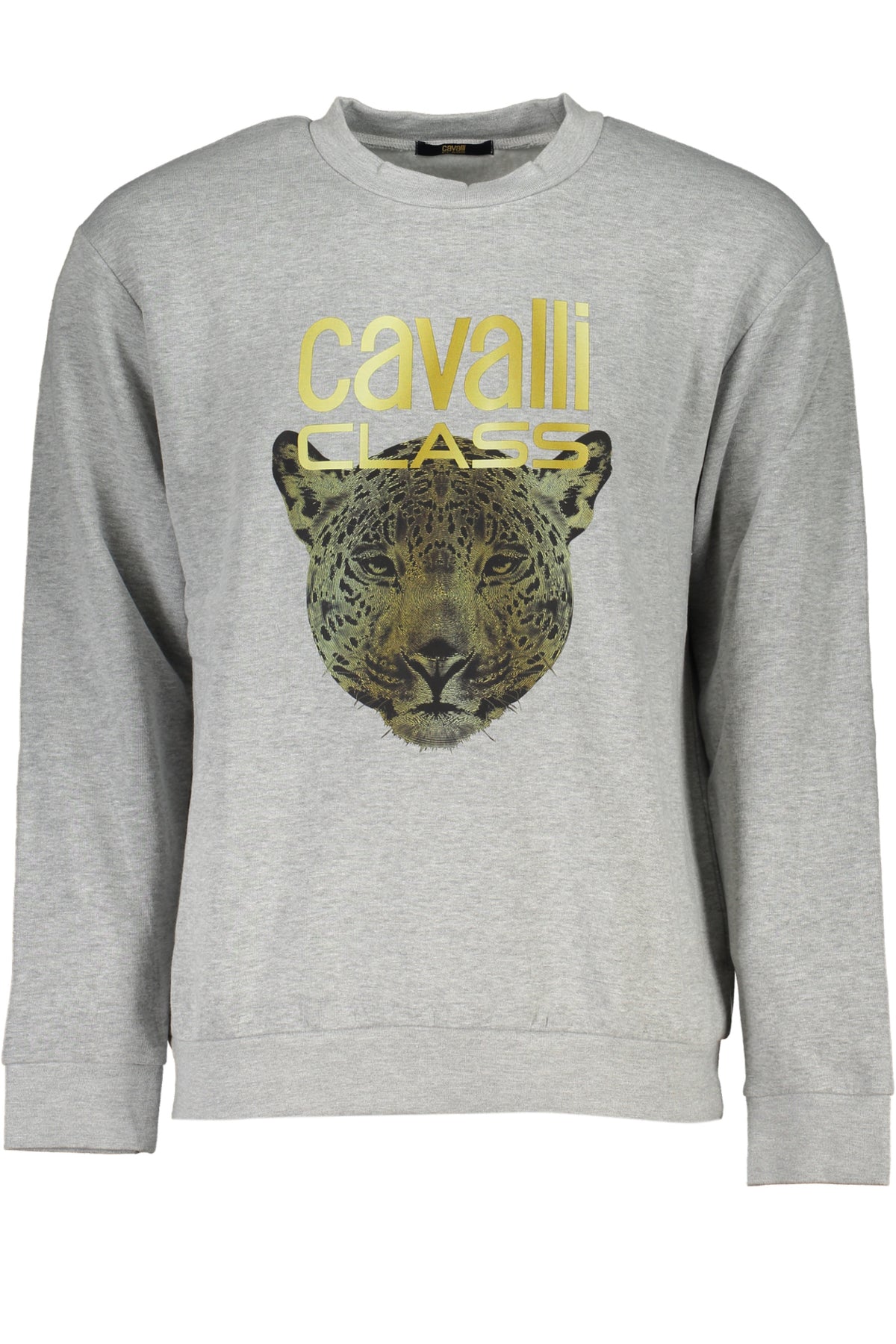 cdn.stockfirmati.com/catalog/28866/cavalliclassfelpasenzazipuomogrigio_1.jpg