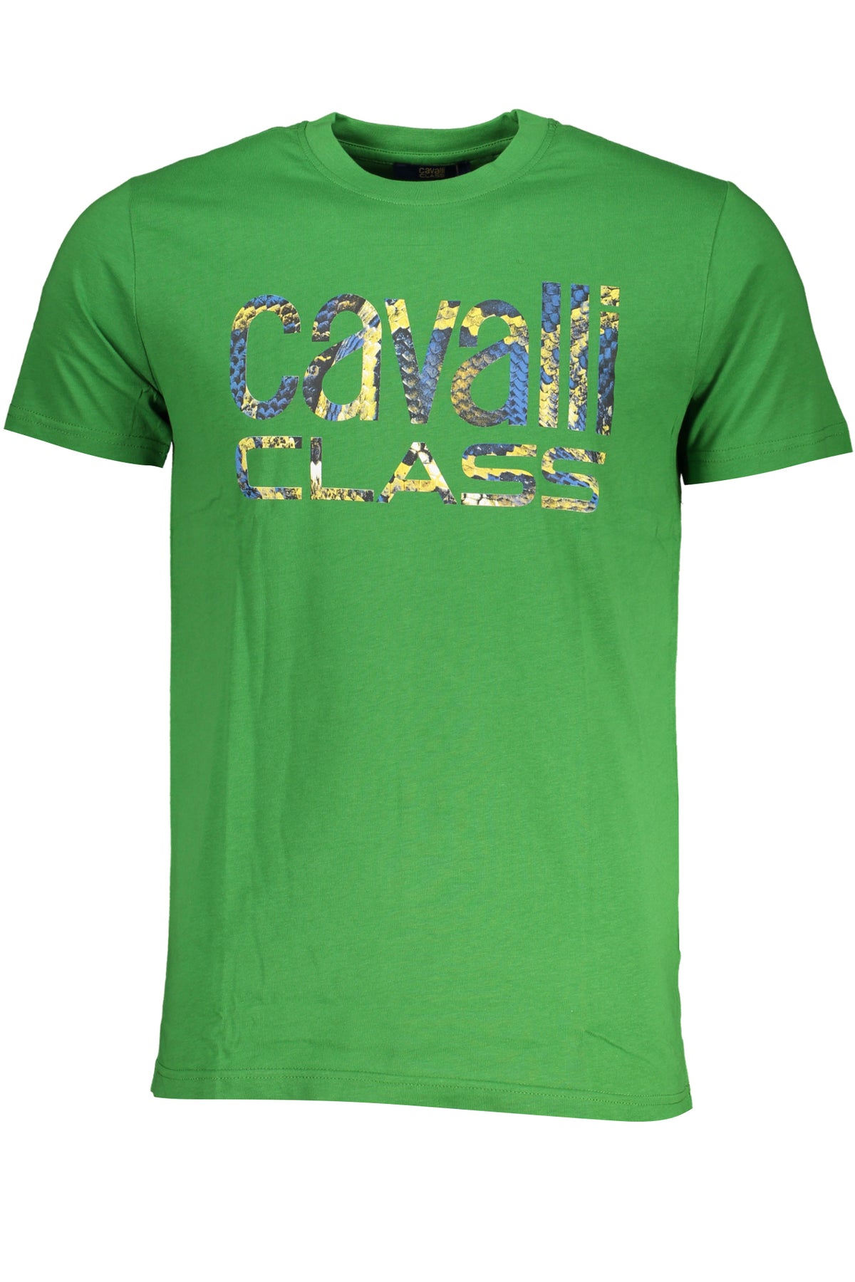 cdn.stockfirmati.com/catalog/28593/cavalliclasst-shirtmanichecorteuomoverde_1.jpg