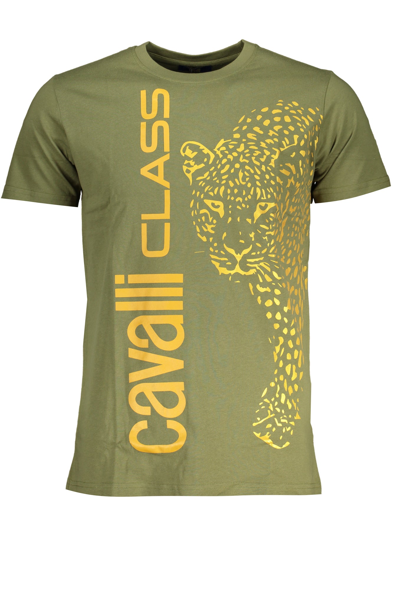 cdn.stockfirmati.com/catalog/28614/cavalliclasst-shirtmanichecorteuomoverde_1.jpg