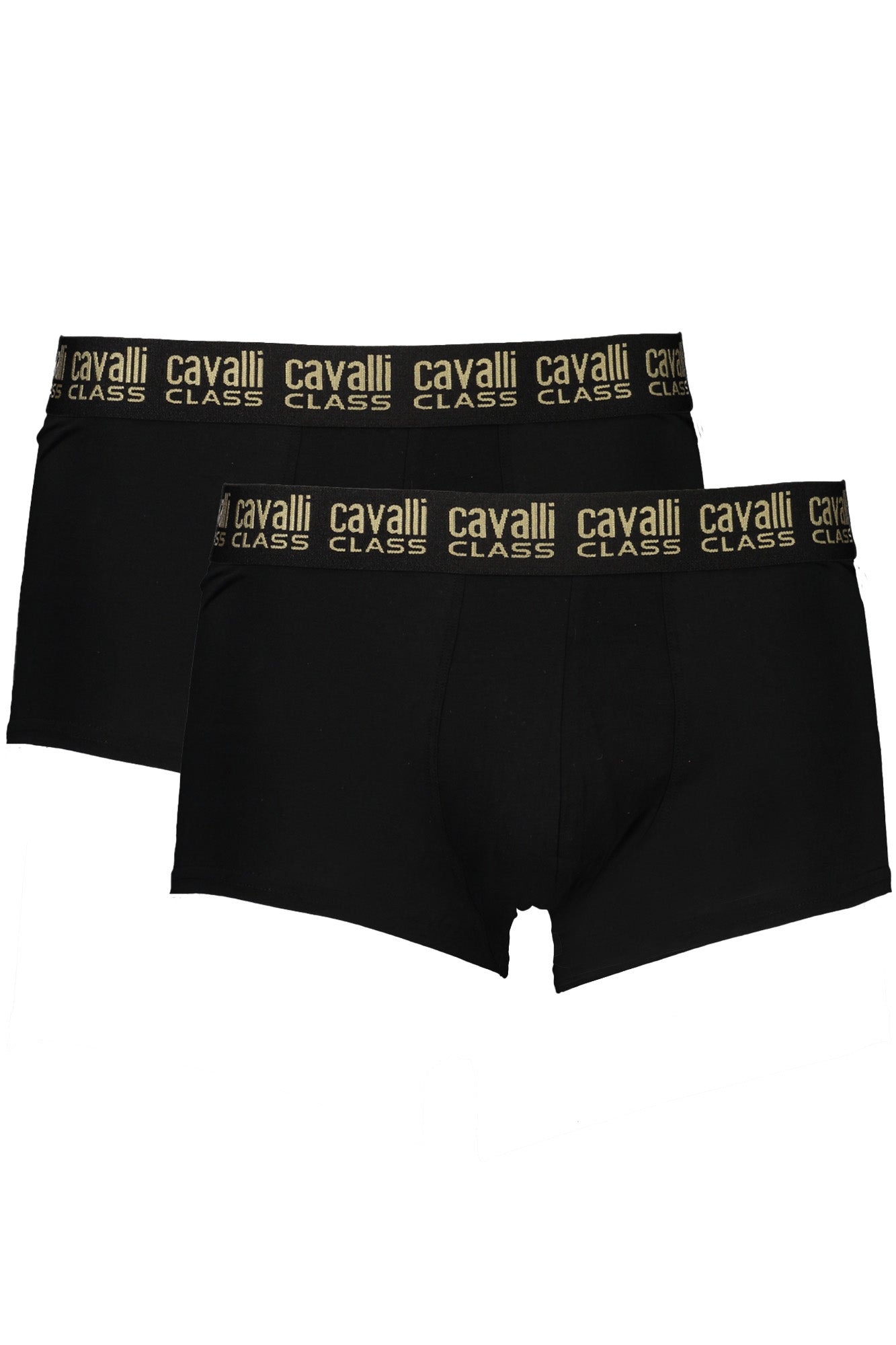 cdn.stockfirmati.com/catalog/32608/cavalliclassboxeruomonero_1.jpg