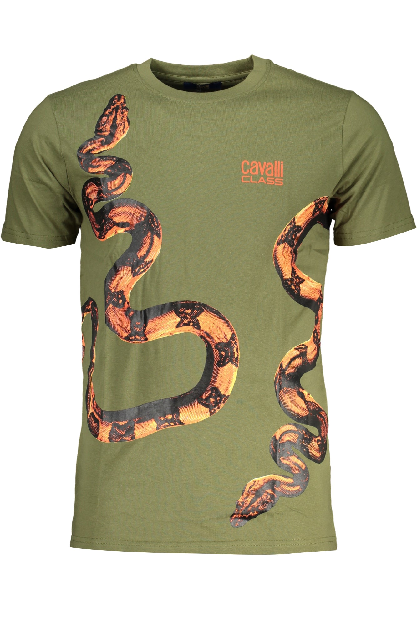 cdn.stockfirmati.com/catalog/28637/cavalliclasst-shirtmanichecorteuomoverde_1.jpg