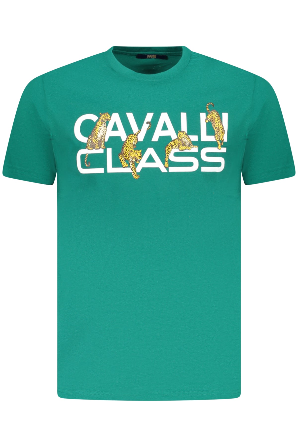 cdn.stockfirmati.com/catalog/36651/cavalliclasst-shirtmanichecorteuomoverde_1.jpg