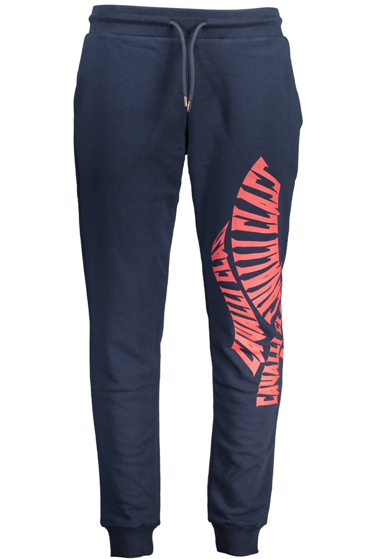 cdn.stockfirmati.com/catalog/21284/cavalliclasspantaloneuomoblu_1.jpg