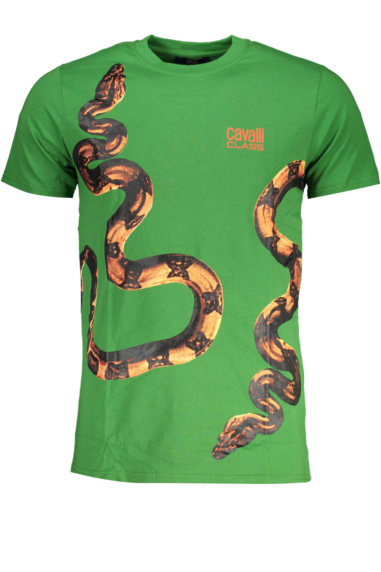 cdn.stockfirmati.com/catalog/28600/cavalliclasst-shirtmanichecorteuomoverde_1.jpg