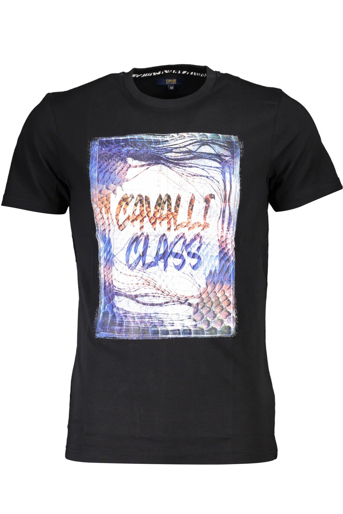 cdn.stockfirmati.com/catalog/37224/cavalliclasst-shirtmanichecorteuomonero_1.jpg