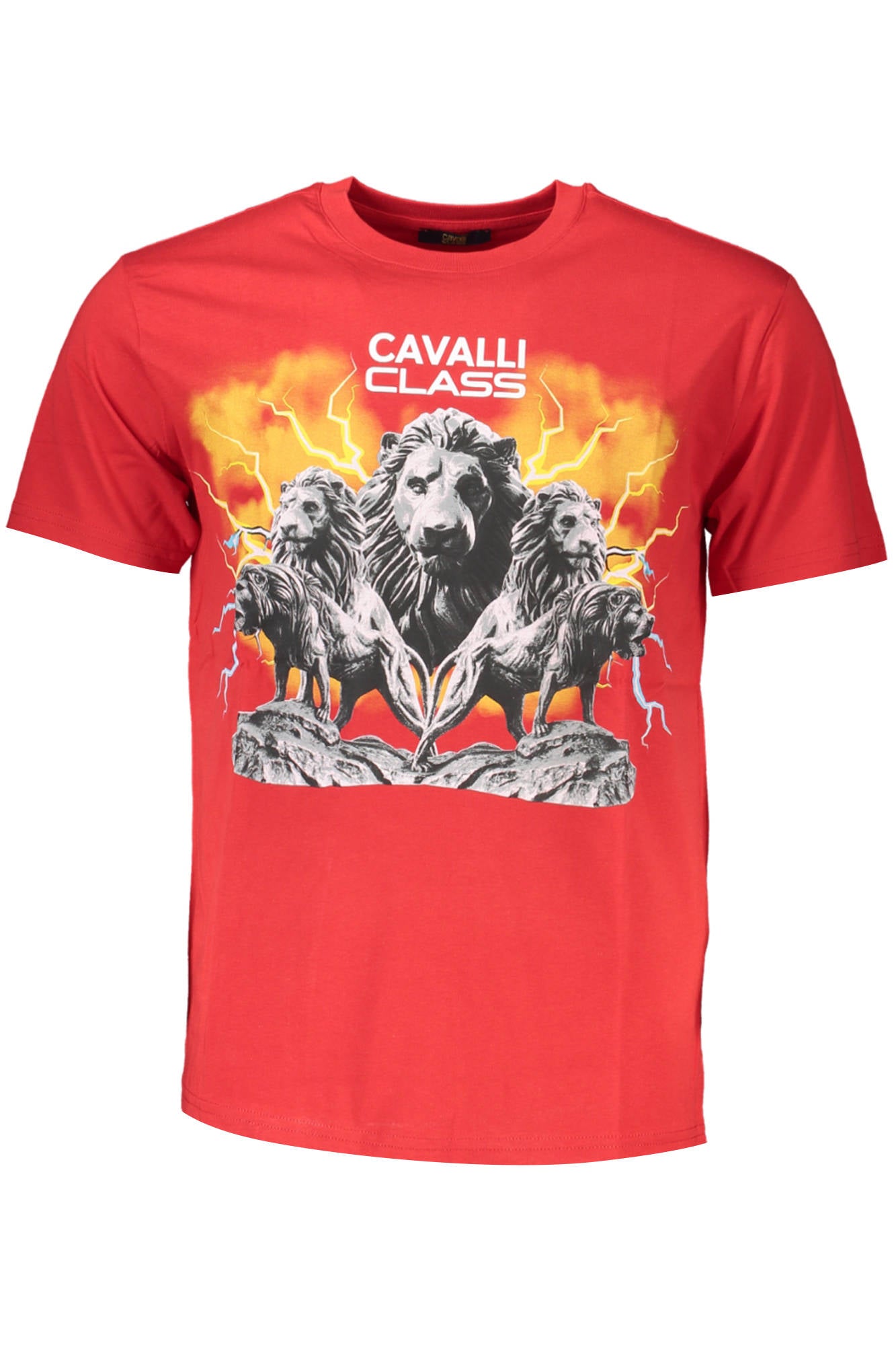 cdn.stockfirmati.com/catalog/37252/cavalliclasst-shirtmanichecorteuomorosso_1.jpg