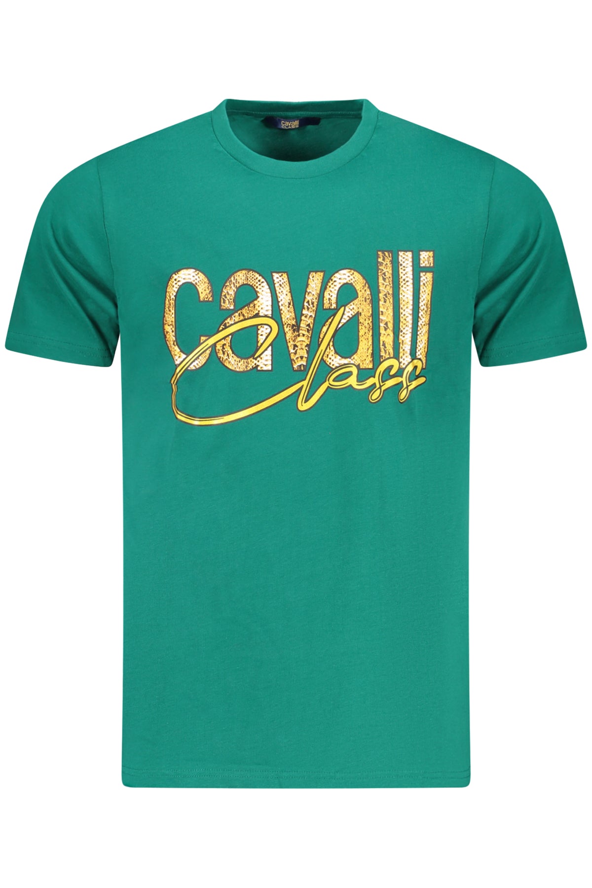 cdn.stockfirmati.com/catalog/36603/cavalliclasst-shirtmanichecorteuomoverde_1.jpg