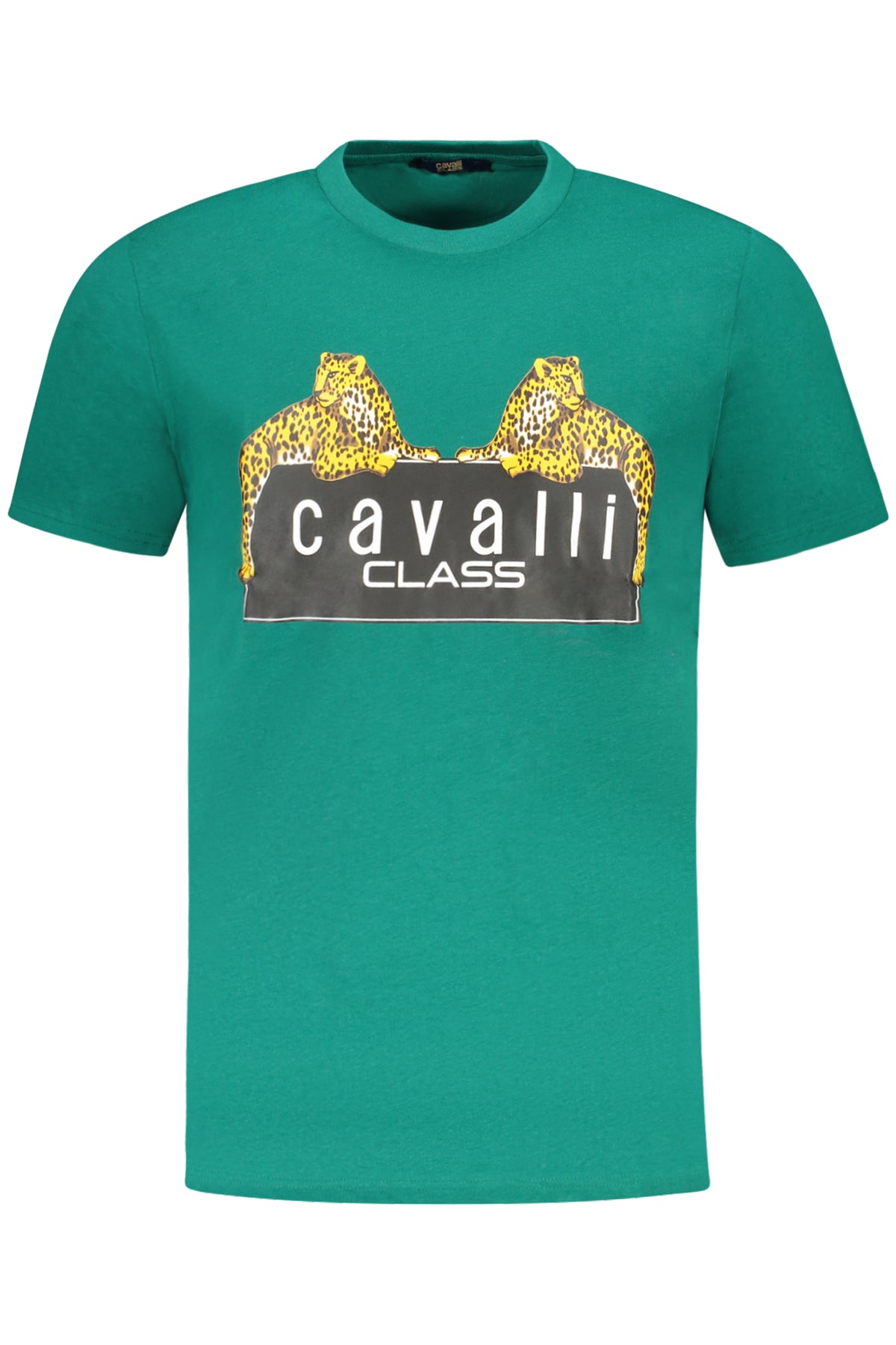 cdn.stockfirmati.com/catalog/36654/cavalliclasst-shirtmanichecorteuomoverde_1.jpg