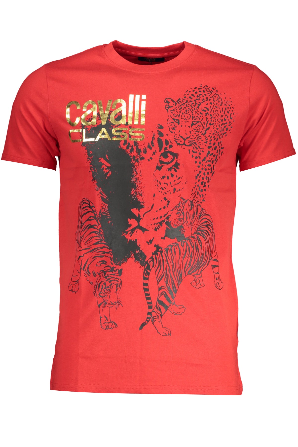 cdn.stockfirmati.com/catalog/28590/cavalliclasst-shirtmanichecorteuomorosso_1.jpg