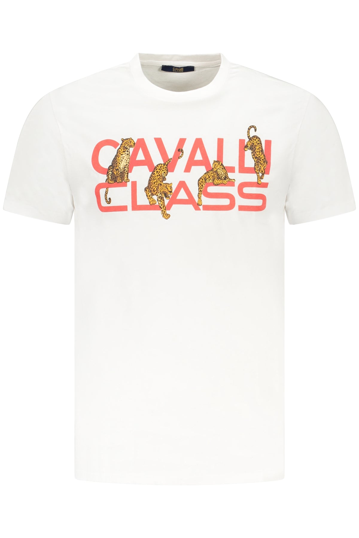 cdn.stockfirmati.com/catalog/36668/cavalliclasst-shirtmanichecorteuomobianco_1.jpg