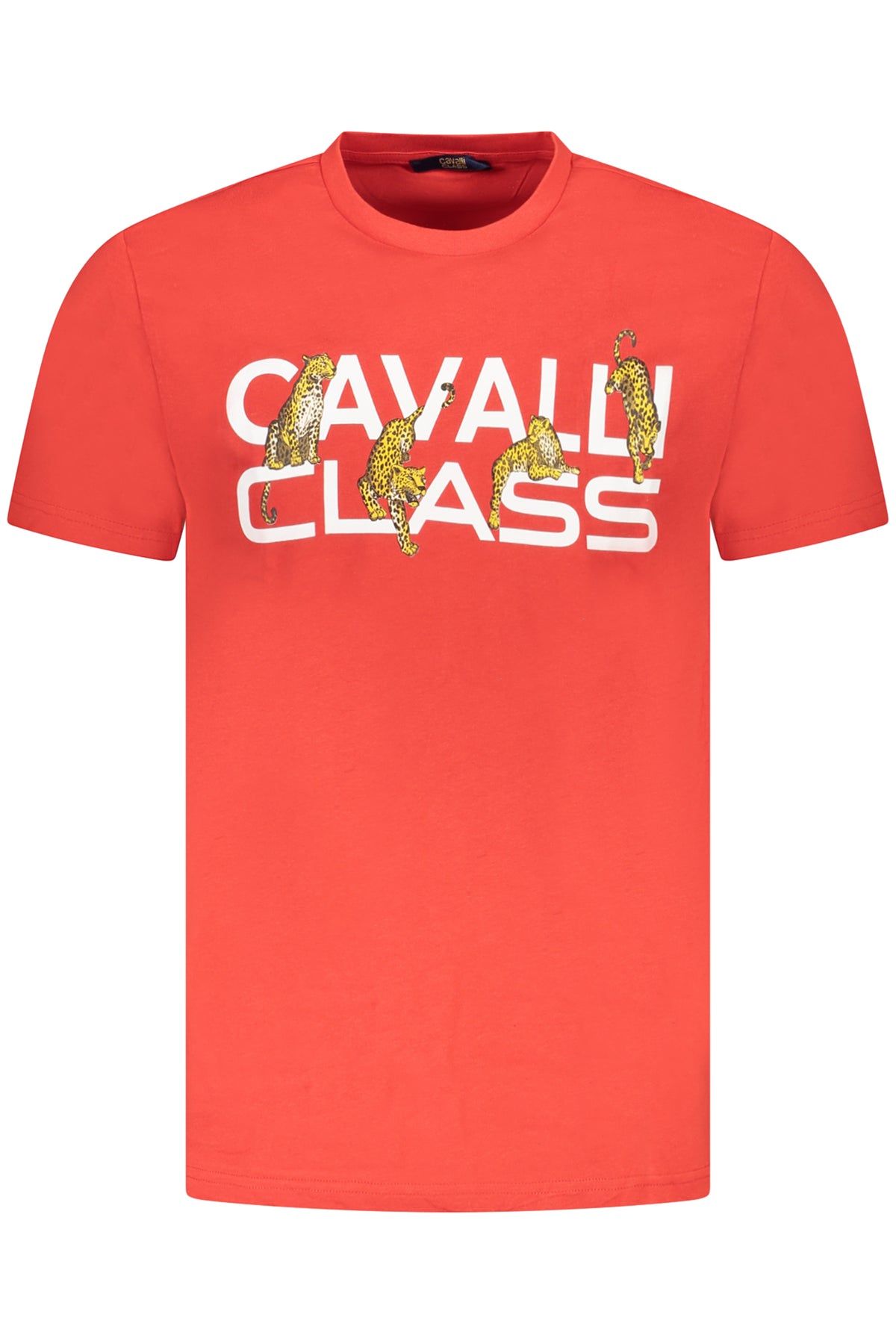 cdn.stockfirmati.com/catalog/36715/cavalliclasst-shirtmanichecorteuomorosso_1.jpg