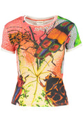 cdn.stockfirmati.com/catalog/43652/desigualt-shirtmanichecortedonnarosso_1.jpg