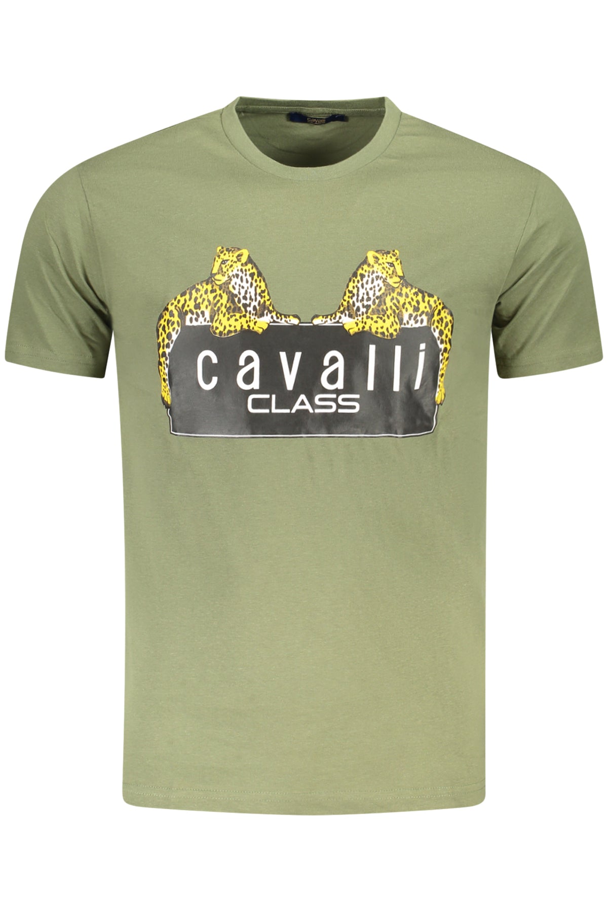 cdn.stockfirmati.com/catalog/36697/cavalliclasst-shirtmanichecorteuomoverde_1.jpg