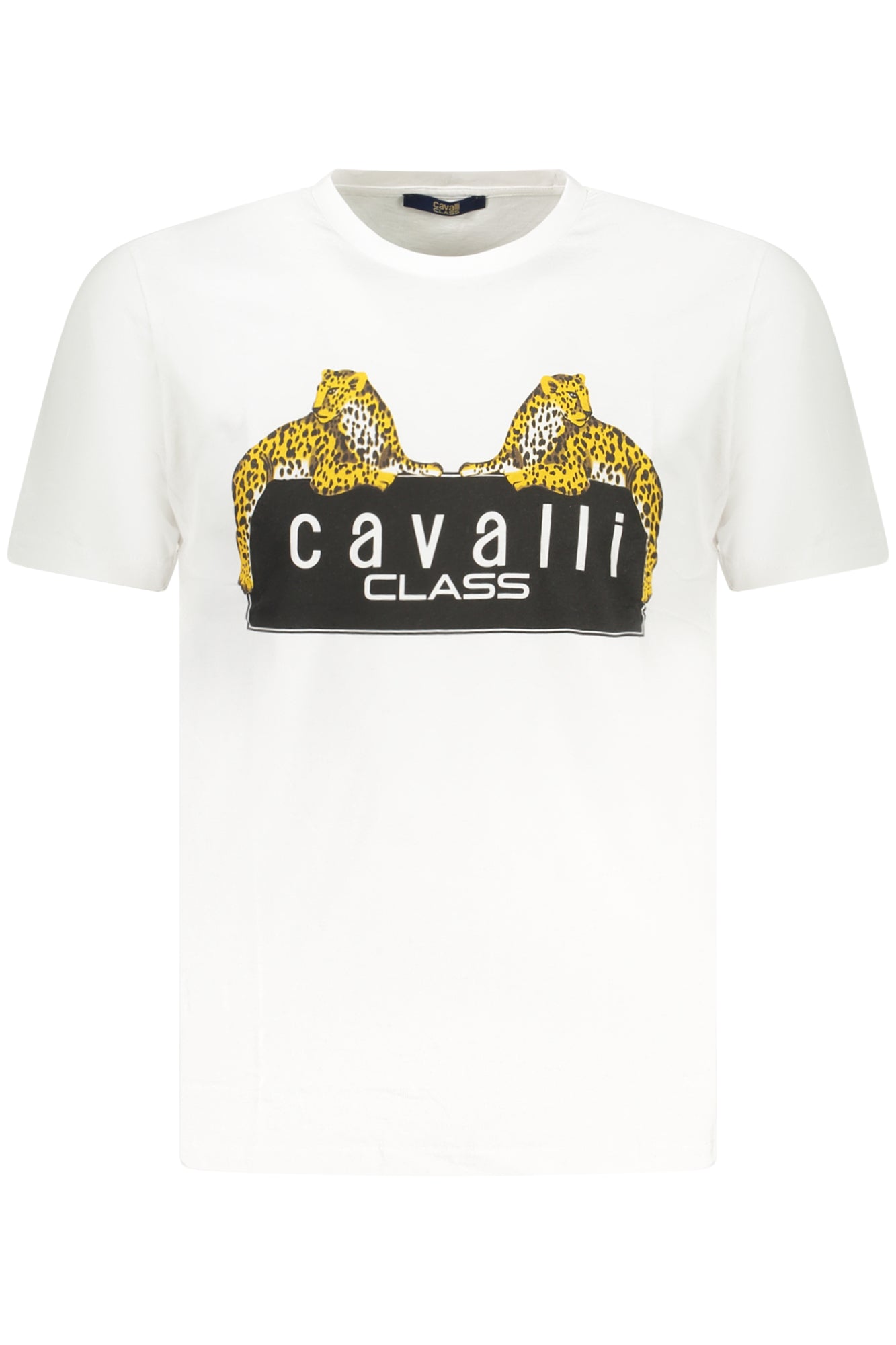 cdn.stockfirmati.com/catalog/38686/cavalliclasst-shirtmanichecorteuomobianco_1.jpg