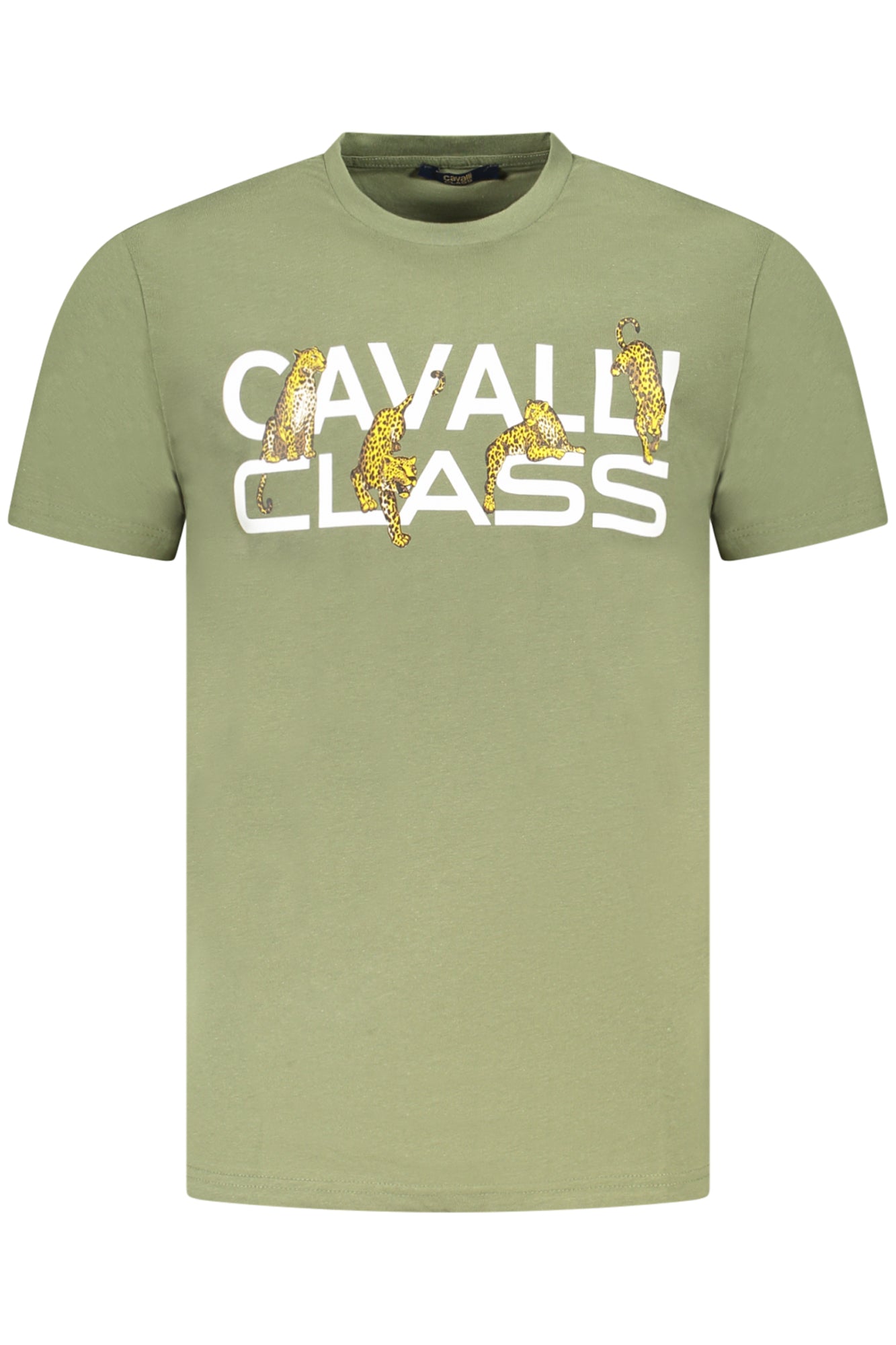 cdn.stockfirmati.com/catalog/36702/cavalliclasst-shirtmanichecorteuomoverde_1.jpg