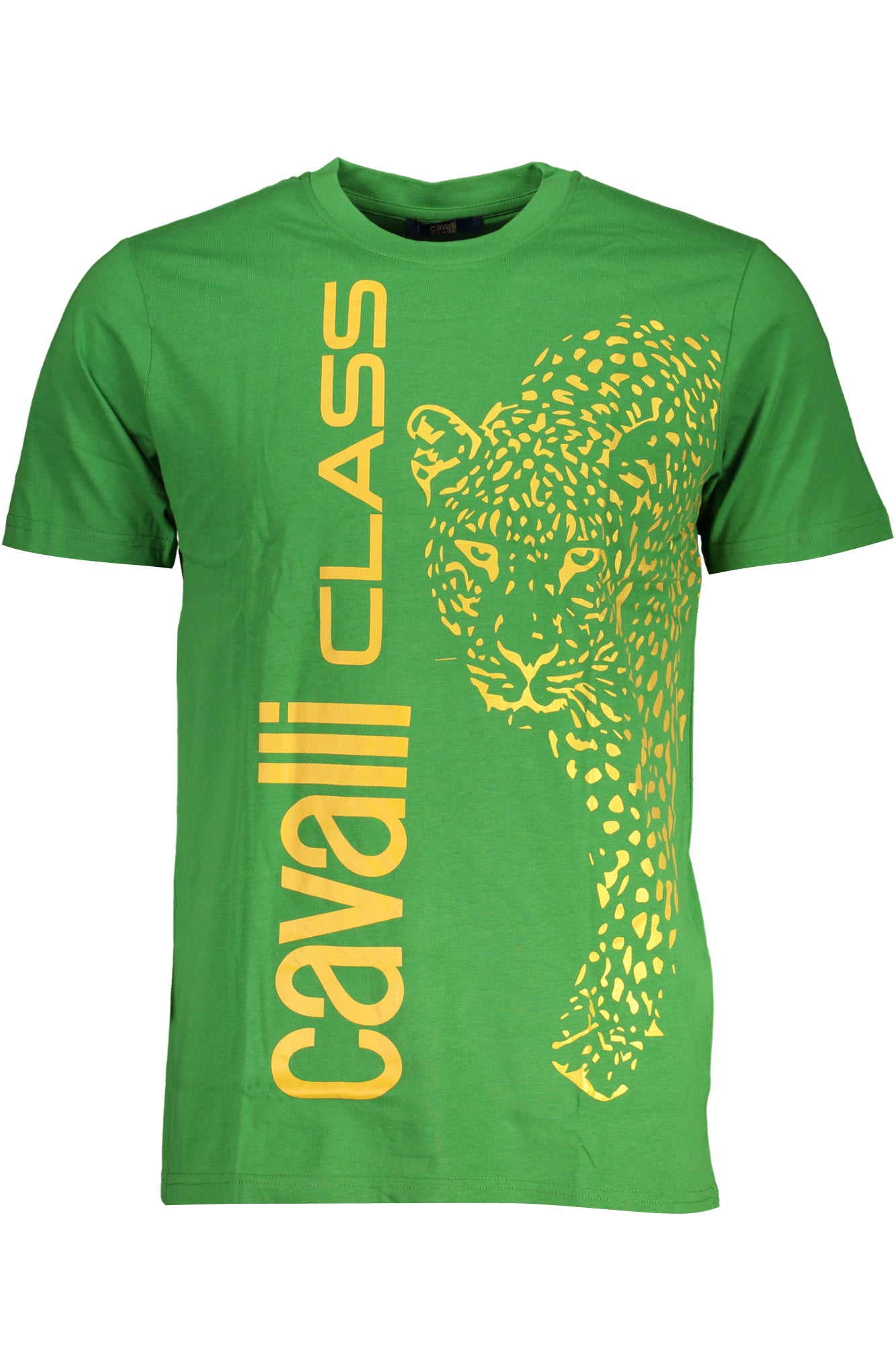 cdn.stockfirmati.com/catalog/28591/cavalliclasst-shirtmanichecorteuomoverde_1.jpg