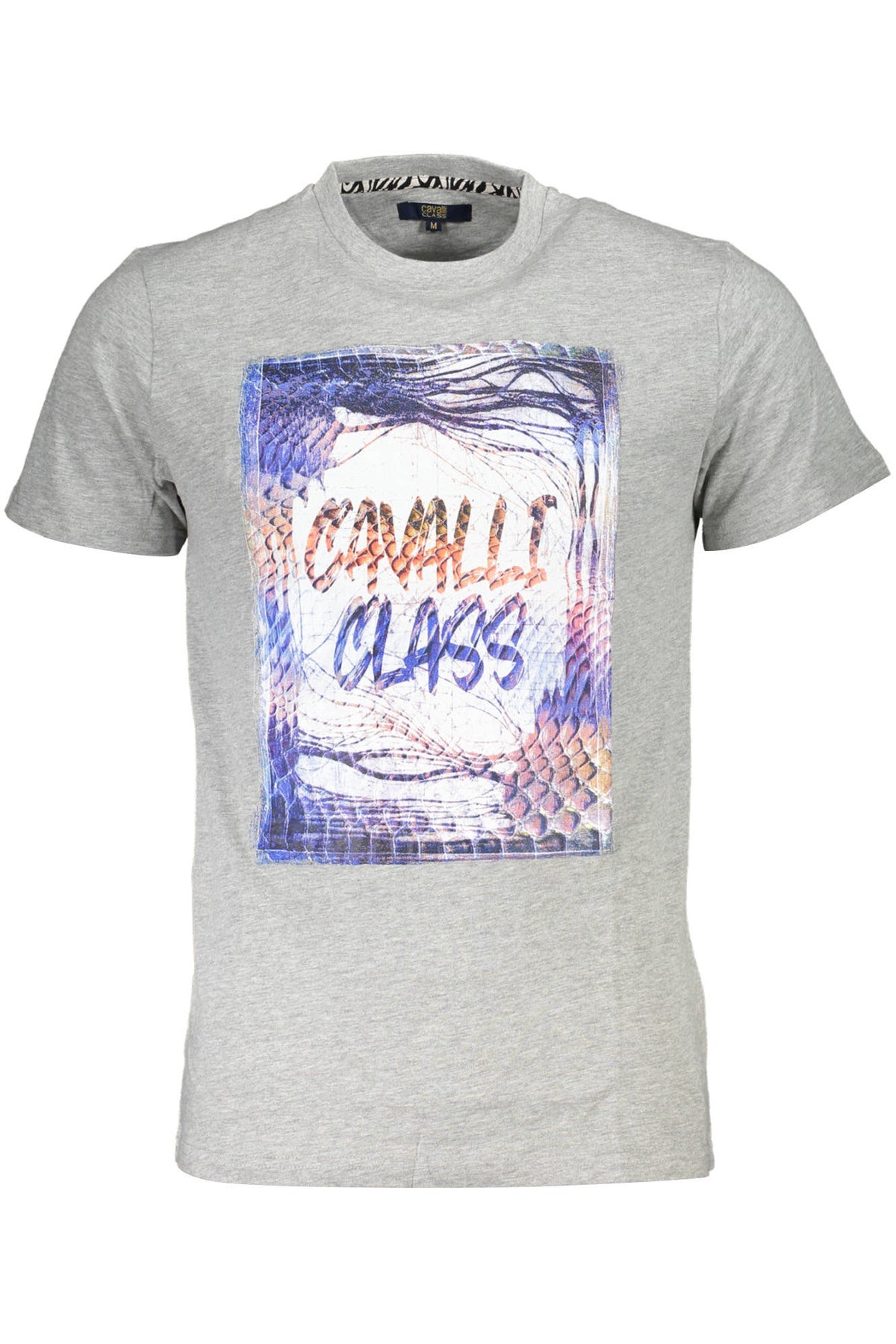 cdn.stockfirmati.com/catalog/37160/cavalliclasst-shirtmanichecorteuomogrigio_1.jpg