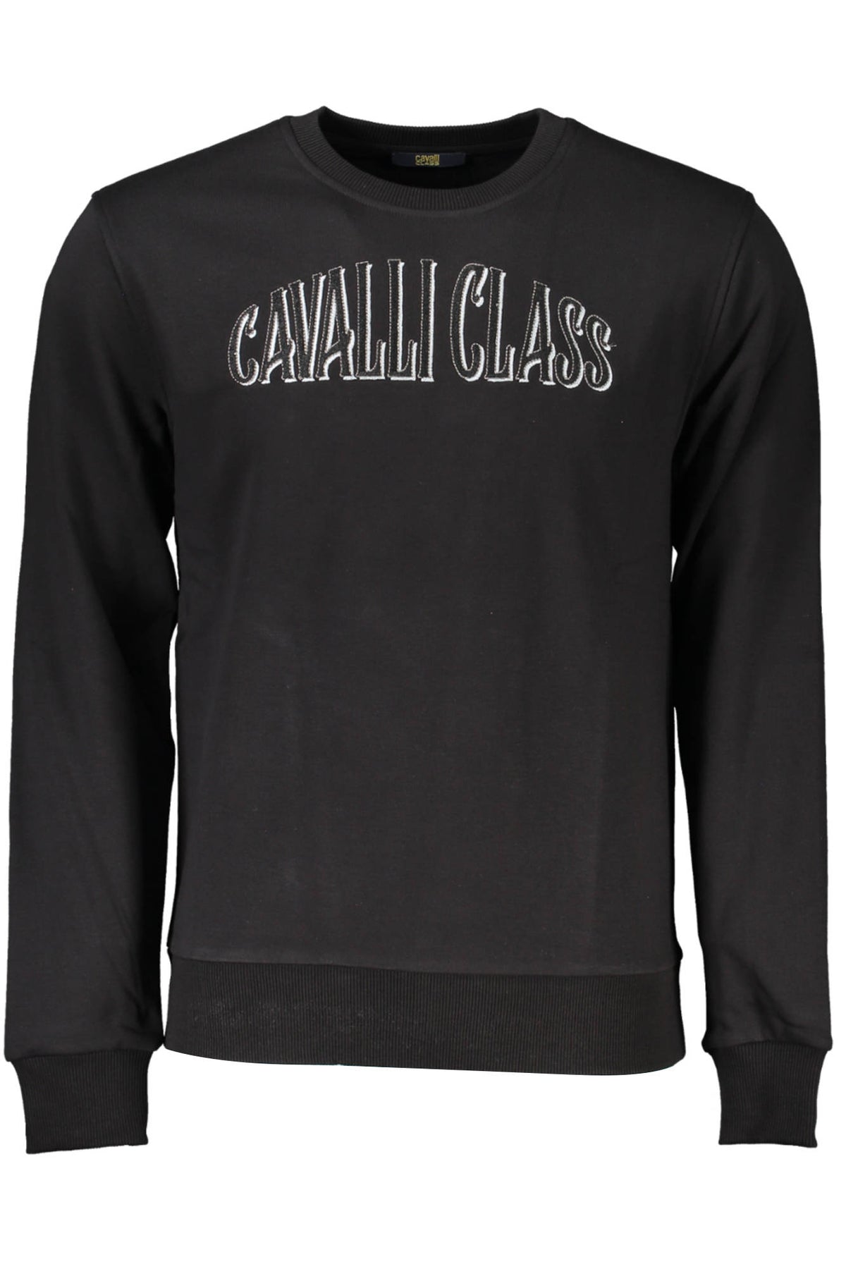 cdn.stockfirmati.com/catalog/21279/cavalliclassfelpasenzazipuomonero_1.jpg