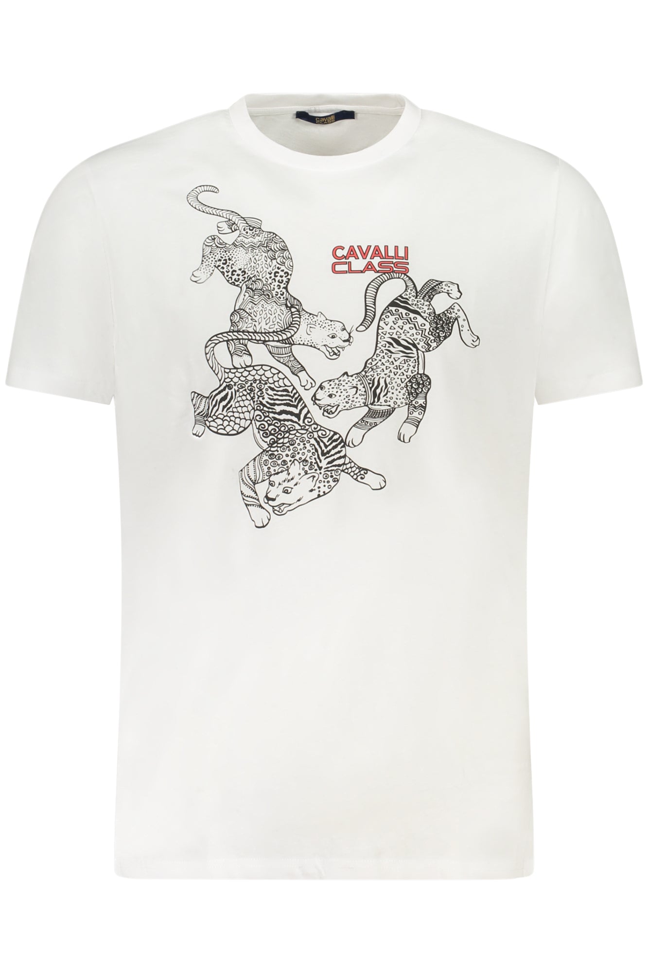 cdn.stockfirmati.com/catalog/36716/cavalliclasst-shirtmanichecorteuomobianco_1.jpg